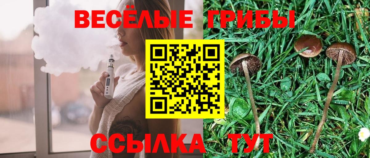 Псилоцибиновые грибы мицелий Балашов